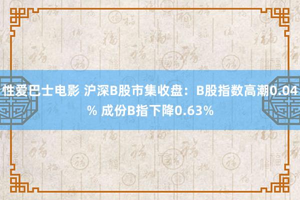 性爱巴士电影 沪深B股市集收盘：B股指数高潮0.04% 成份B指下降0.63%