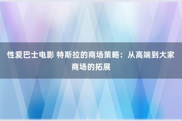 性爱巴士电影 特斯拉的商场策略：从高端到大家商场的拓展