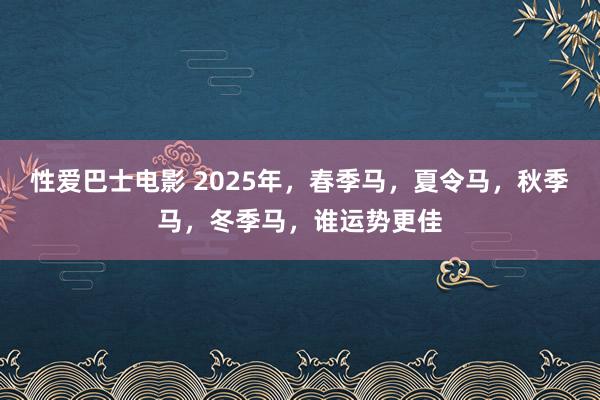 性爱巴士电影 2025年，春季马，夏令马，秋季马，冬季马，谁运势更佳