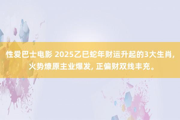 性爱巴士电影 2025乙巳蛇年财运升起的3大生肖, 火势燎原主业爆发, 正偏财双线丰充。